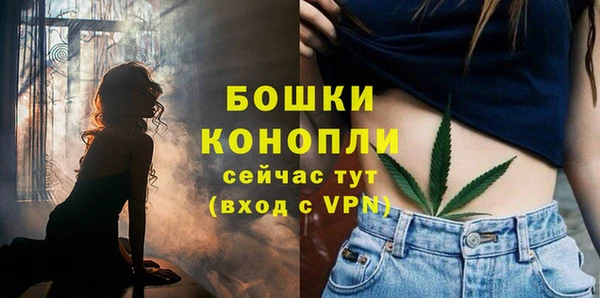 твердый Инсар